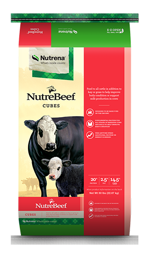 NB CATTLE BREEDER CUBE 20%  - MASCARROTE 20%