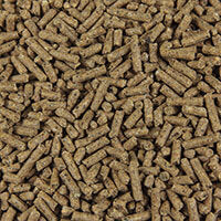 14% HORSE & CATTLE FEED