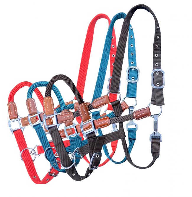 Showman ® Nylon halter with Nylon Rope Nose and Cheeks with leather accents.