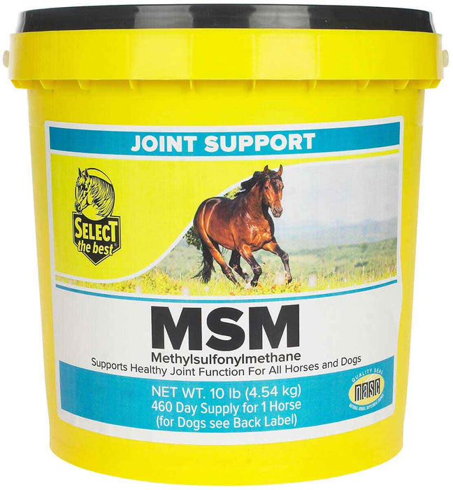 MSM JOINT SUPPORT